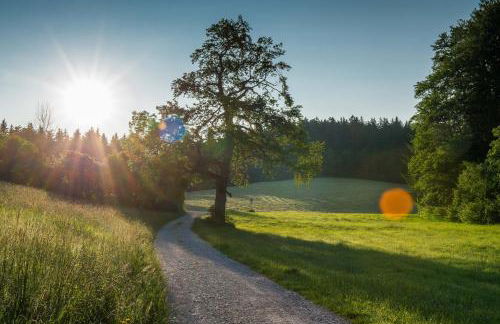 Ferienhaus Geißler Meran - Foto 20