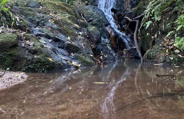 Made in Roça - Photo 10