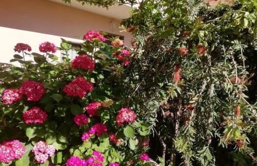 sole mare versilia - Foto 57