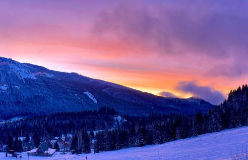 The Skis Knees - Foto 32