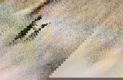 Brooklyn Farm Bed and Breakfast - Photo 11