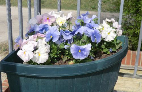 Lakeview Holidays - Foto 46