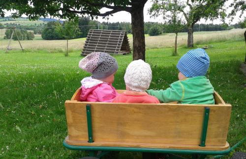 Hanauerhof - Foto 22