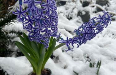 Grahl´s Ferienwohnung - Foto 55