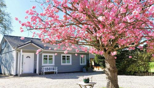 Landhaus Scholz - Foto 2