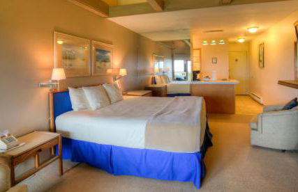 The Grey Gull - Foto 48