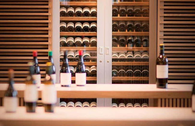 Visita a las bodegas José Pariente - Foto 3