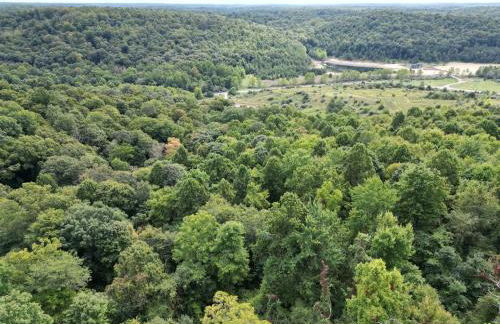 Deer Haven Cabin - Foto 19