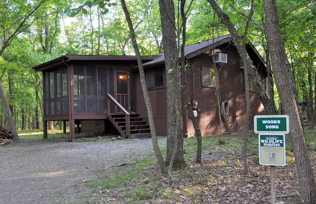 Woods Song - Natures Promise - Foto 26