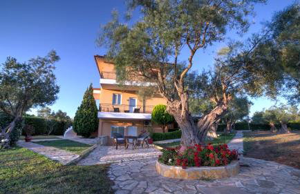 Agroktima Elia - Foto 61