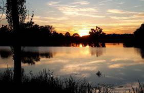 Ferienwohnung Matthisson - Foto 15