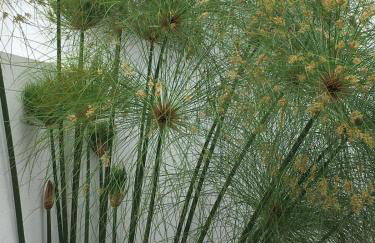 Casa do Miradouro - 1º - Photo 15