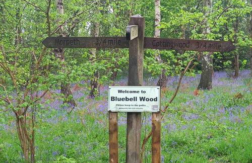 The Snug, Morpeth - Foto 21