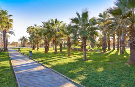 Golf & Playa a 1 min - Photo 45