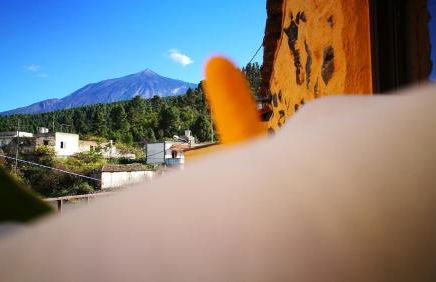 Country private studio - Foto 4