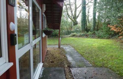 The Little Lodge (y porthdy bach) - Foto 7