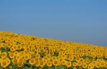 A casa di Thelma - Foto 23