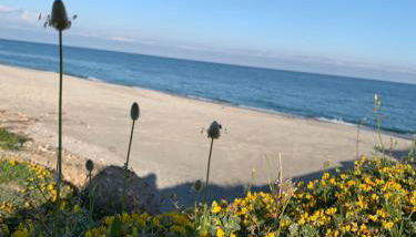 Appartamento Fronte Mare Rosa 2 - Foto 3