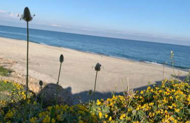 Appartamento Fronte Mare Rosa 2 - Foto 3