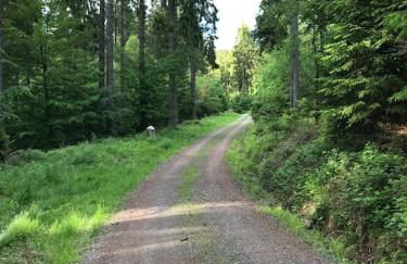 Apartment mit Wintergarten und Terrasse in ruhiger Lage im schönen Taunus - Foto 44