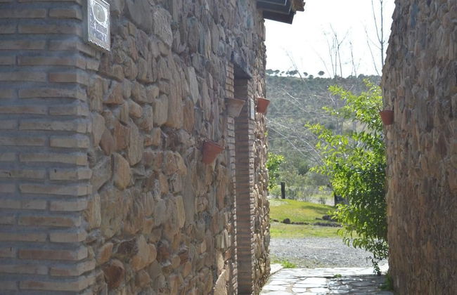 Finca Los Caleros - Photo 23