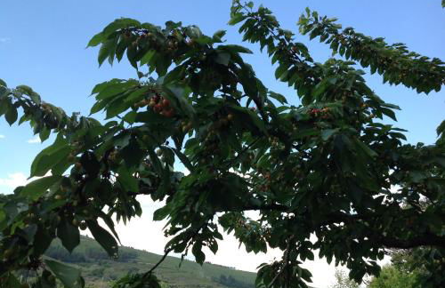 El Mirador de los Trobos - Foto 31