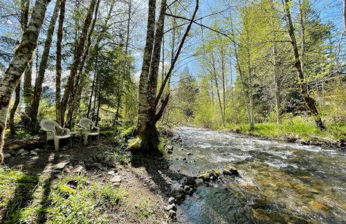 Mt Rainier Little Green Cabin On Big Creek! - Foto 25