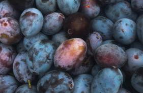 Schlossberg Apartments & Garten in der Natur & unweit vom "Thüringer Meer" - Foto 55