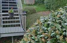 Ferienwohnung 360° - Foto 20