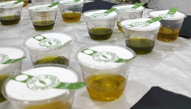 Olive Oil Tasting - Foto 3