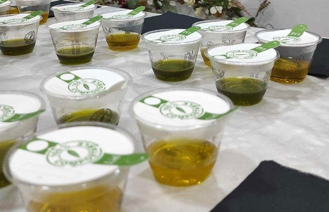 Olive Oil Tasting - Foto 3