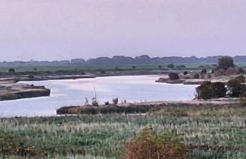 Pilsumer Warfthaus - Foto 39