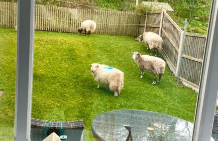 Great Orme Cottage, Llandudno - The Best of Rural & Coast! - Photo 16