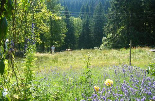 Waldhuesli Feldberg Gartengeschoss - Photo 12