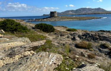 Stintino vista mare l'ancora - Photo 23