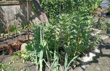 Casinha da Horta com Jacuzzi - Foto 24