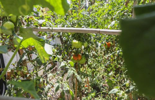 Natasha’s home - Foto 26