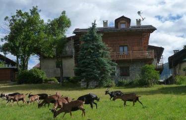 Agriturismo Barba Gust - Foto 25