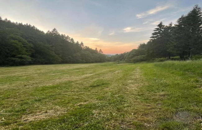 Holiday Home in Willingen Near Ski Slopes - Photo 39