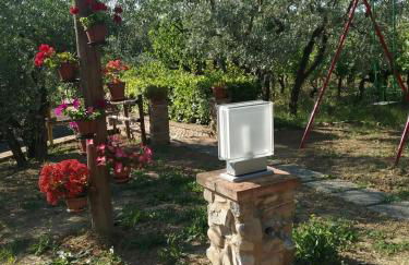 Casa le Betulle - Foto 7