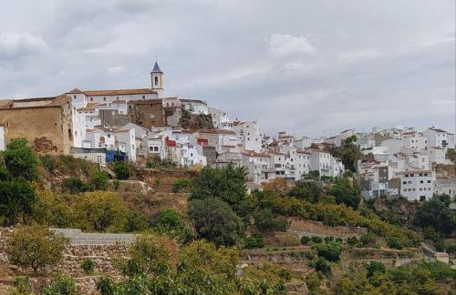 Finca Las Morenas - Foto 45