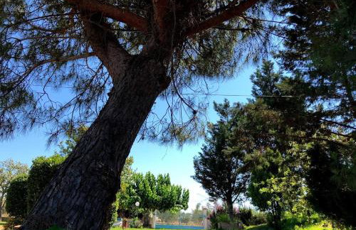 Strofilia Farm House, Kalogria! The Sea, The Forest, The Sun - Foto 22