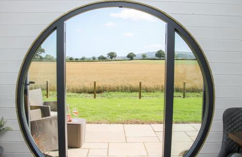 Withy Willows - Foto 5