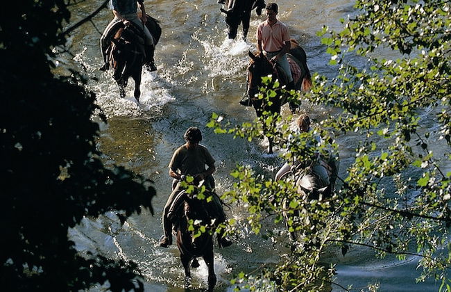 Fattoria Casabianca - Foto 22