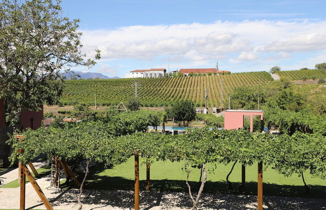 Quinta Vale de Sousa - Douro Valley - Foto 30