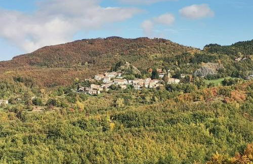 Sunny House -Charming apartment in the nature - Foto 15