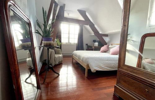 Chez Hélène, calme et verdure au centre historique - Foto 13