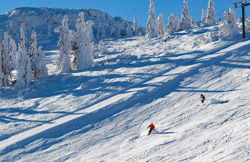 Ferienwohnung Dimpfl-Stad´l Fam. Lemberger - Foto 21