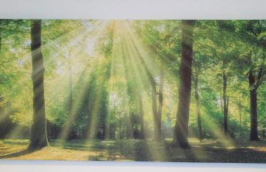 Ferienwohnungen Im Dorfe SINCE 2022 - Foto 30