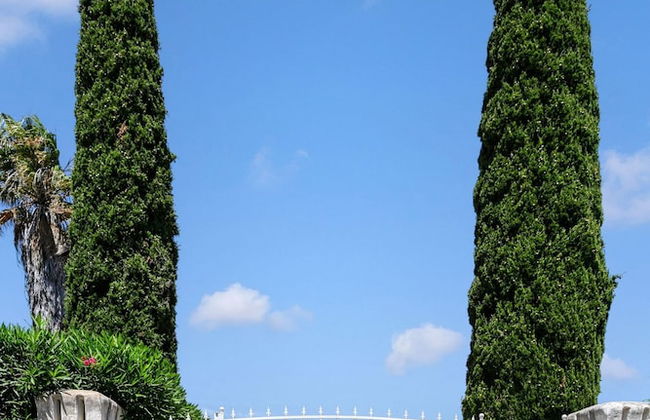 Golfinhos Magnificent Spacious 5 Bedroom Villa - Foto 36